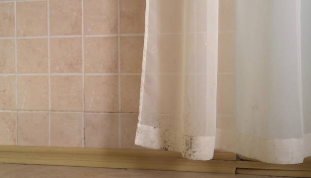 Best Water Damage & Mold Remediation  in Chambersburg, PA