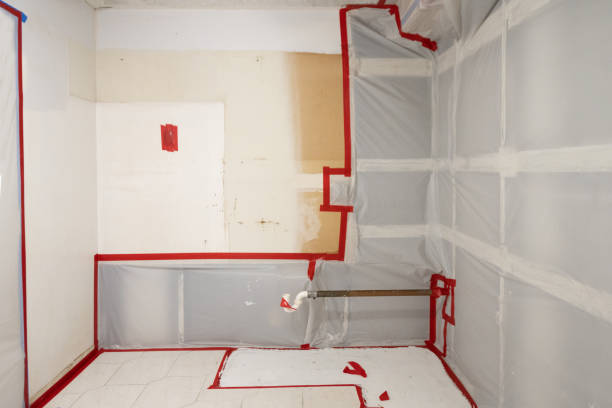 Best Mold Remediation for Healthcare Facilities  in Chambersburg, PA