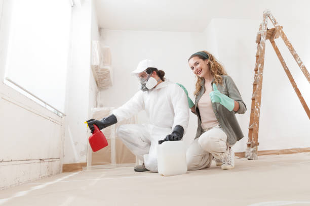 Best Crawl Space Mold Remediation  in Chambersburg, PA